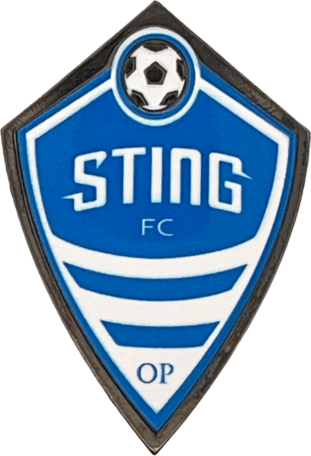 Recent Design of Sting FC from our Custom Soccer Pins Collection